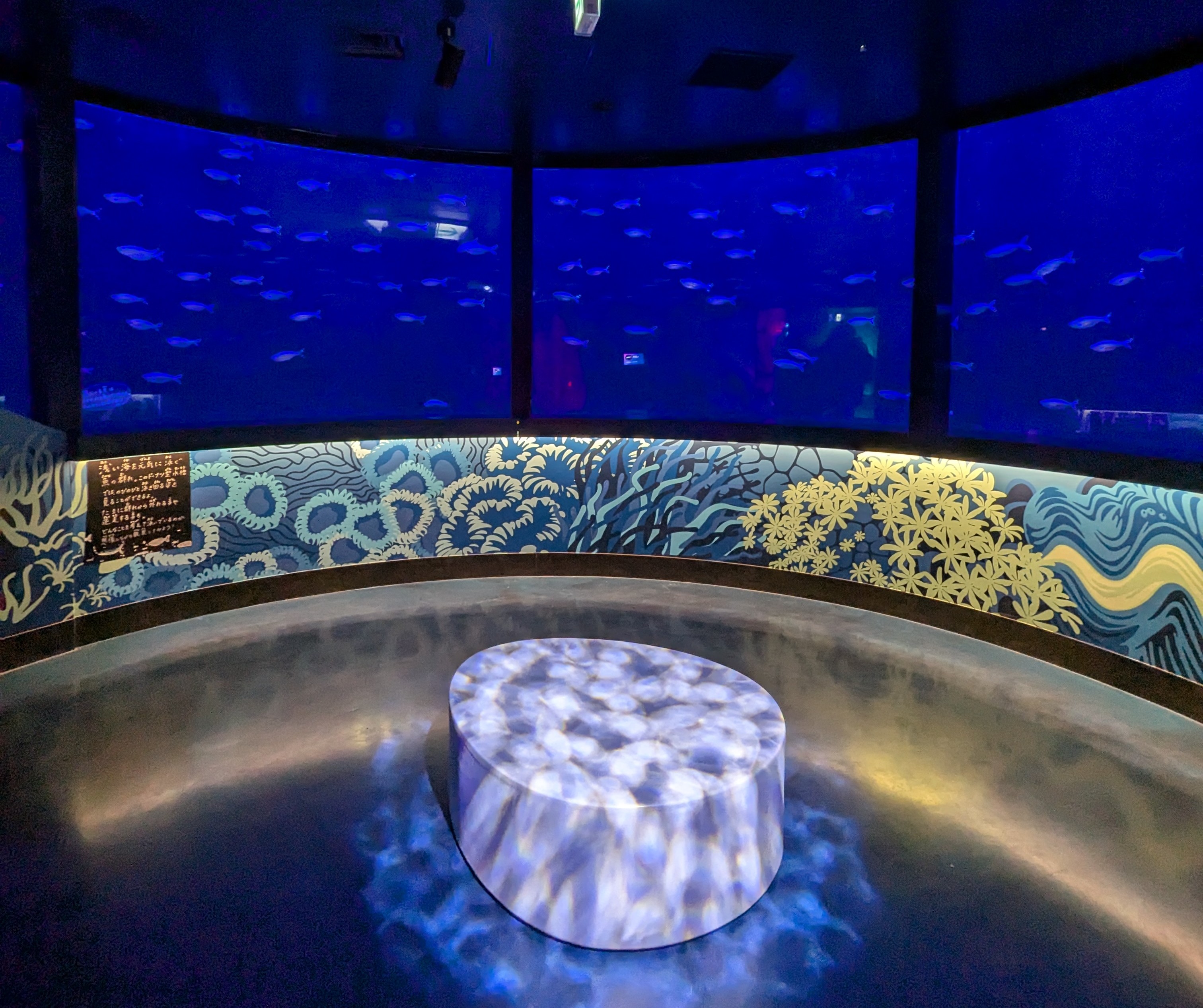 sea life nagoyaさかなのリング