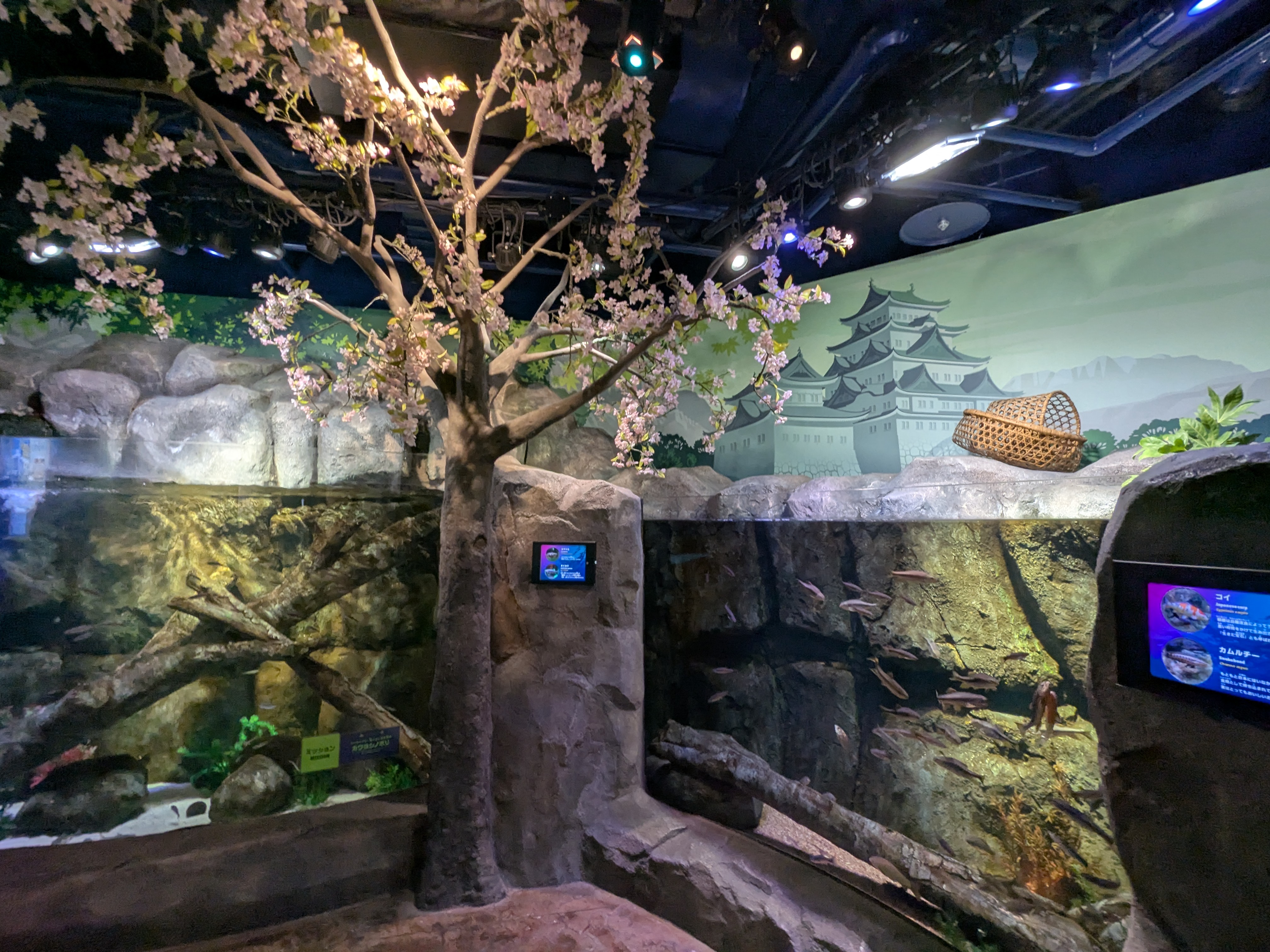 sea life nagoya木曽川ゾーン