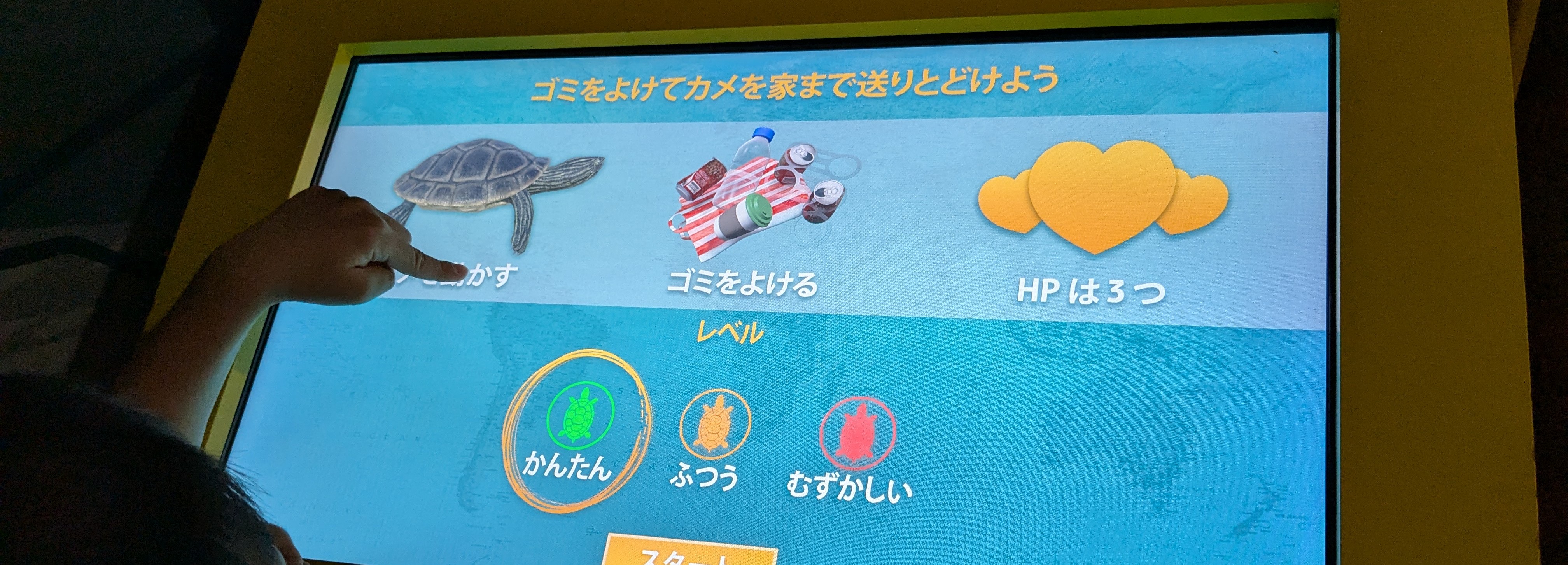 sea life nagoyaのウミガメのゲーム