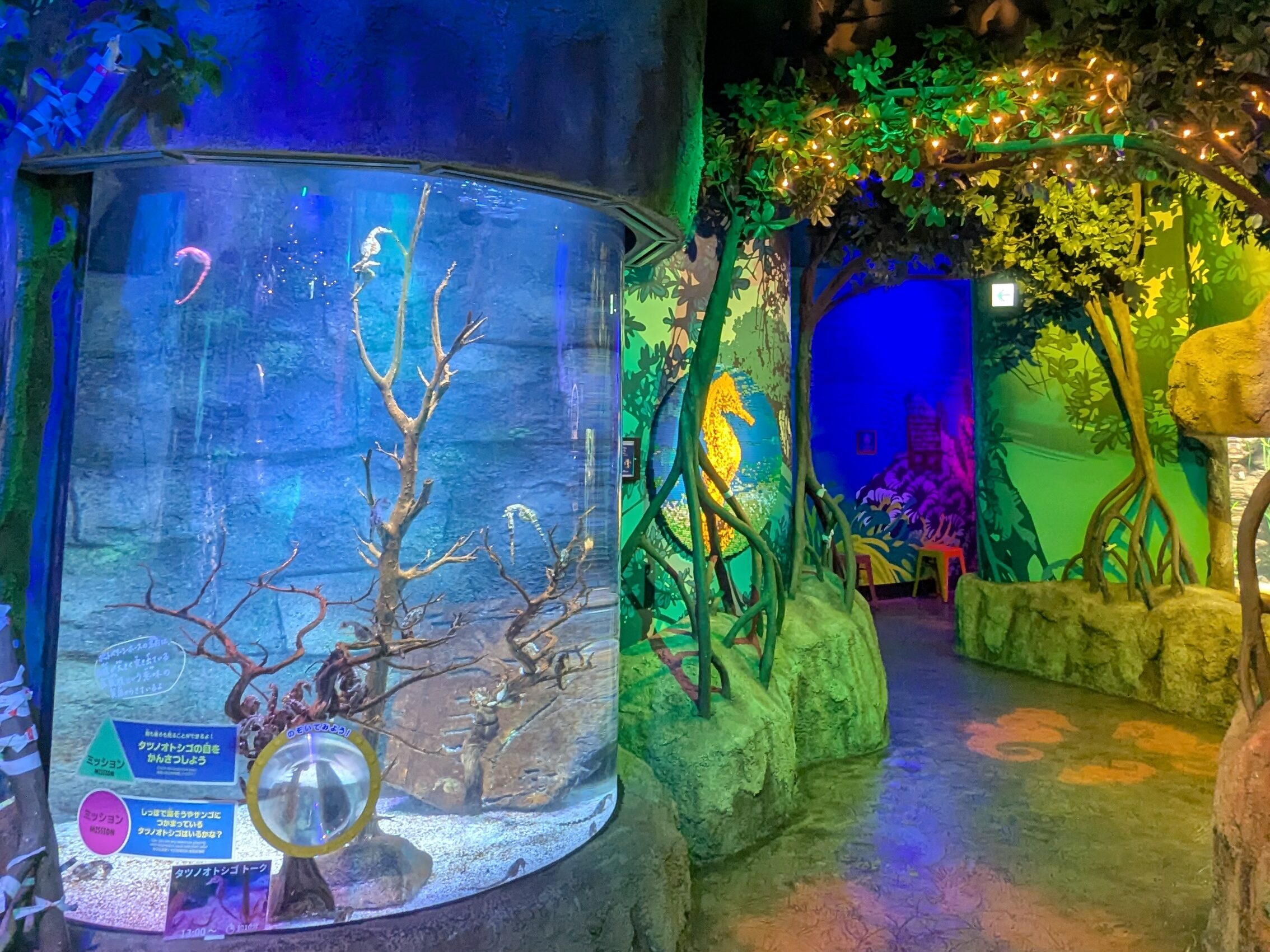 sea life nagoyaタツノオトシゴのすみか