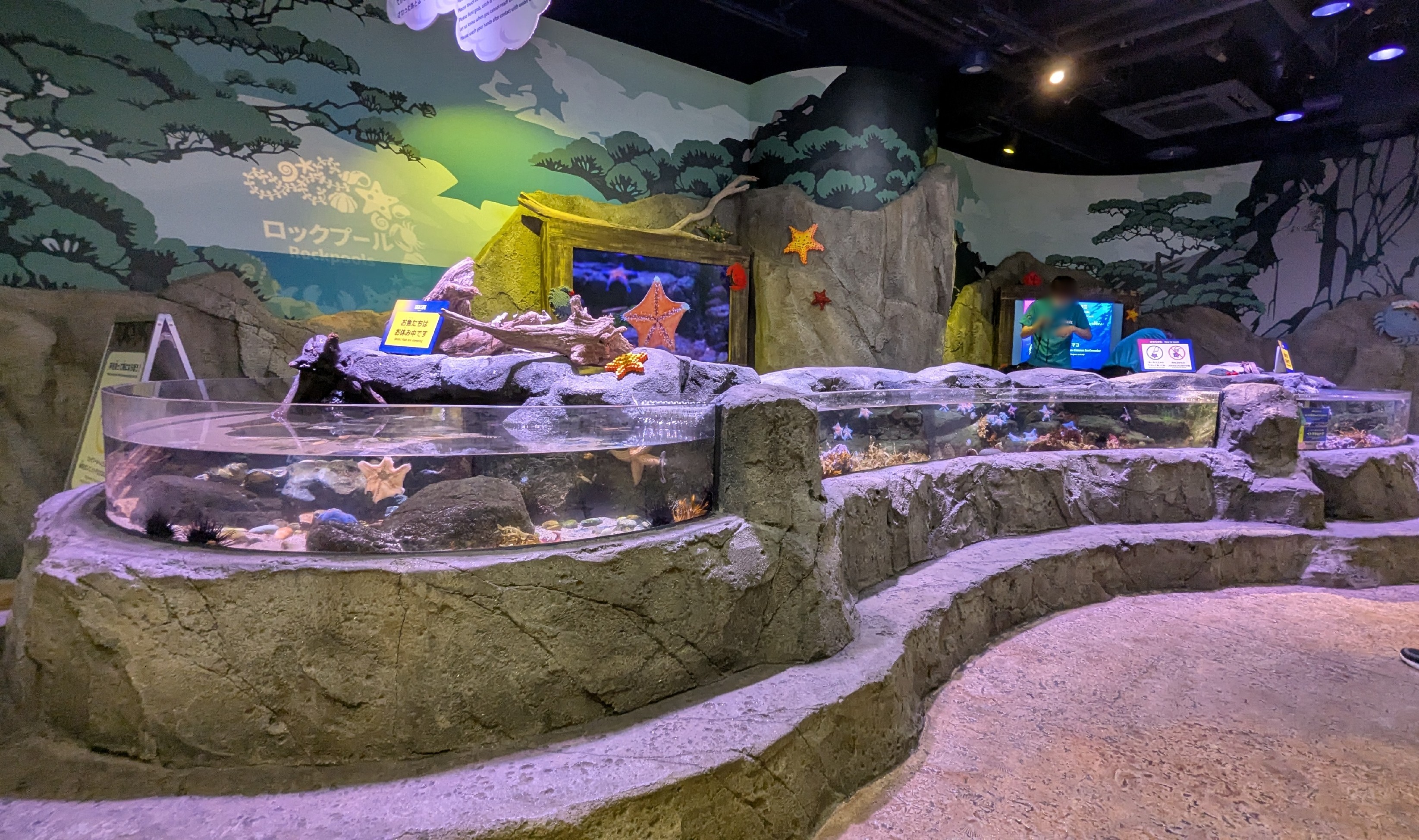 sea life nagoyaのロックプール