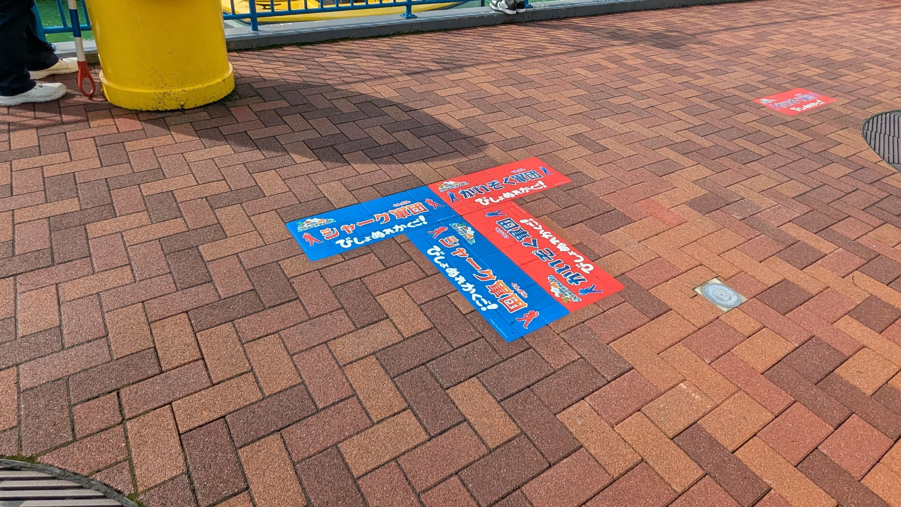 赤と青の足元の目印でチーム分けされるシャクササイズの会場